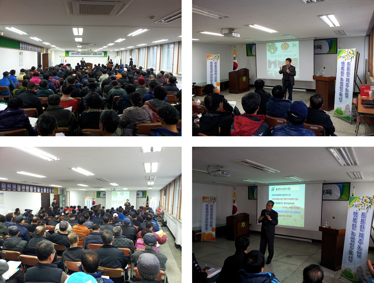 새해 농업인 실용교육 (노지감귤 재배기술, 만감류 재배기술 - 2015. 01. 21)